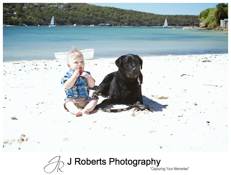 Little boy sitting on the beach with his dog - sydney family portrait photographer